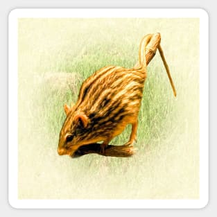 Striped grass mouse Sticker